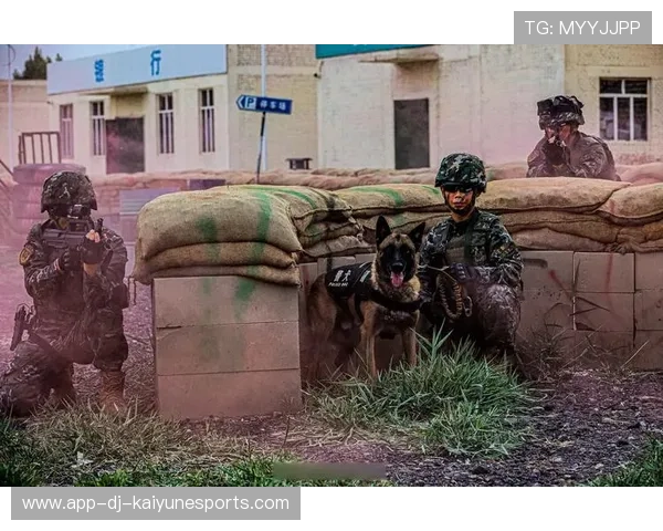 后防空档减少的技战术建议——提升防御稳定性的新思路